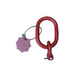 Eslabón maestro un ramal conexión directa