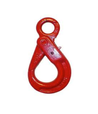 Gancho de seguridad ojo